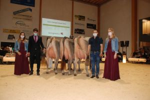 Siegerpodest Junior Champion BS v.l.n.r Ideala Josefine Hailey